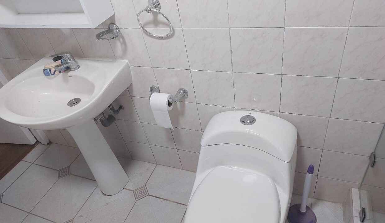 3238